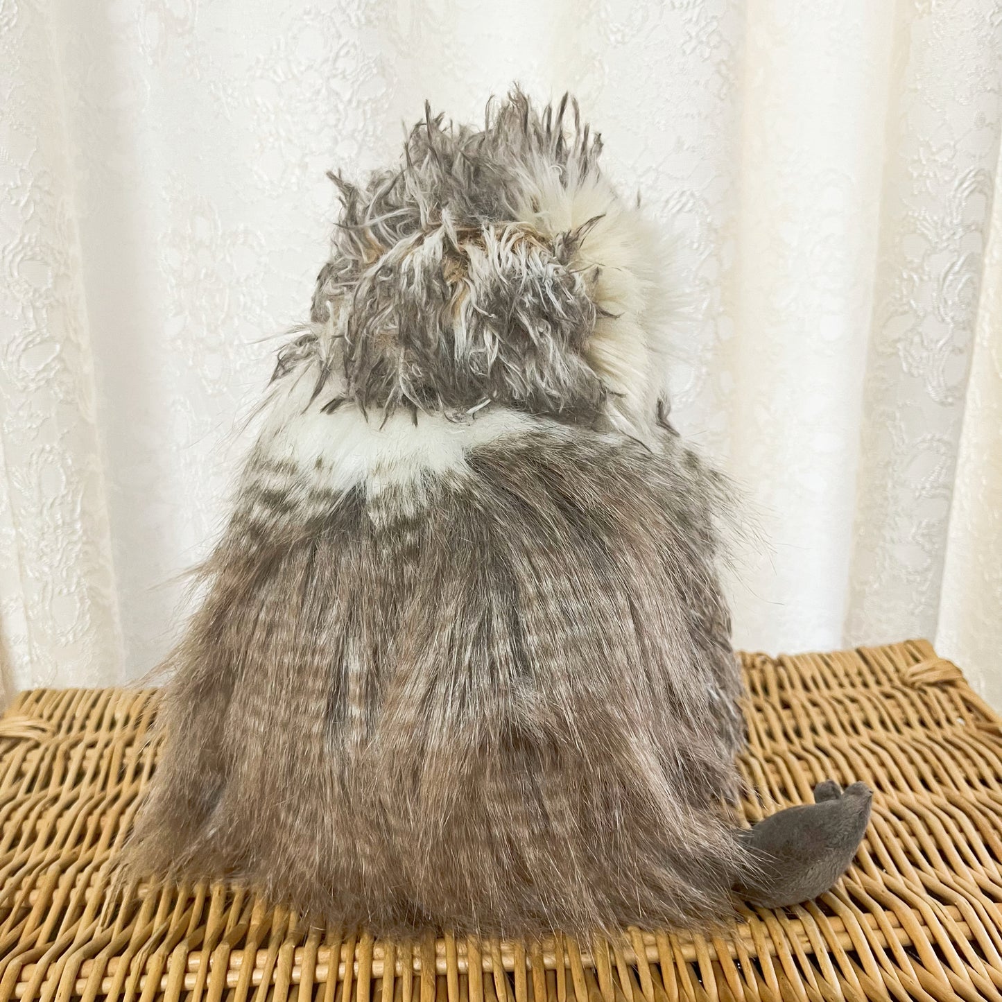 レンデールデザイン/フクロウのエルヴィス(レギュラーサイズ)