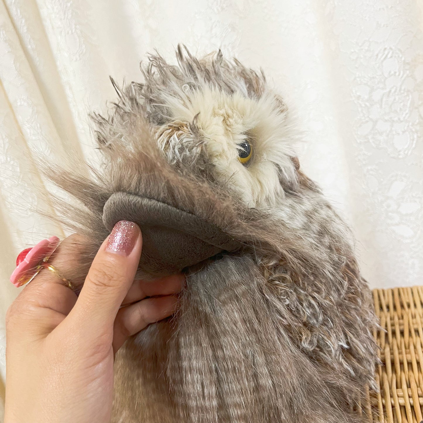 レンデールデザイン/フクロウのエルヴィス(レギュラーサイズ)
