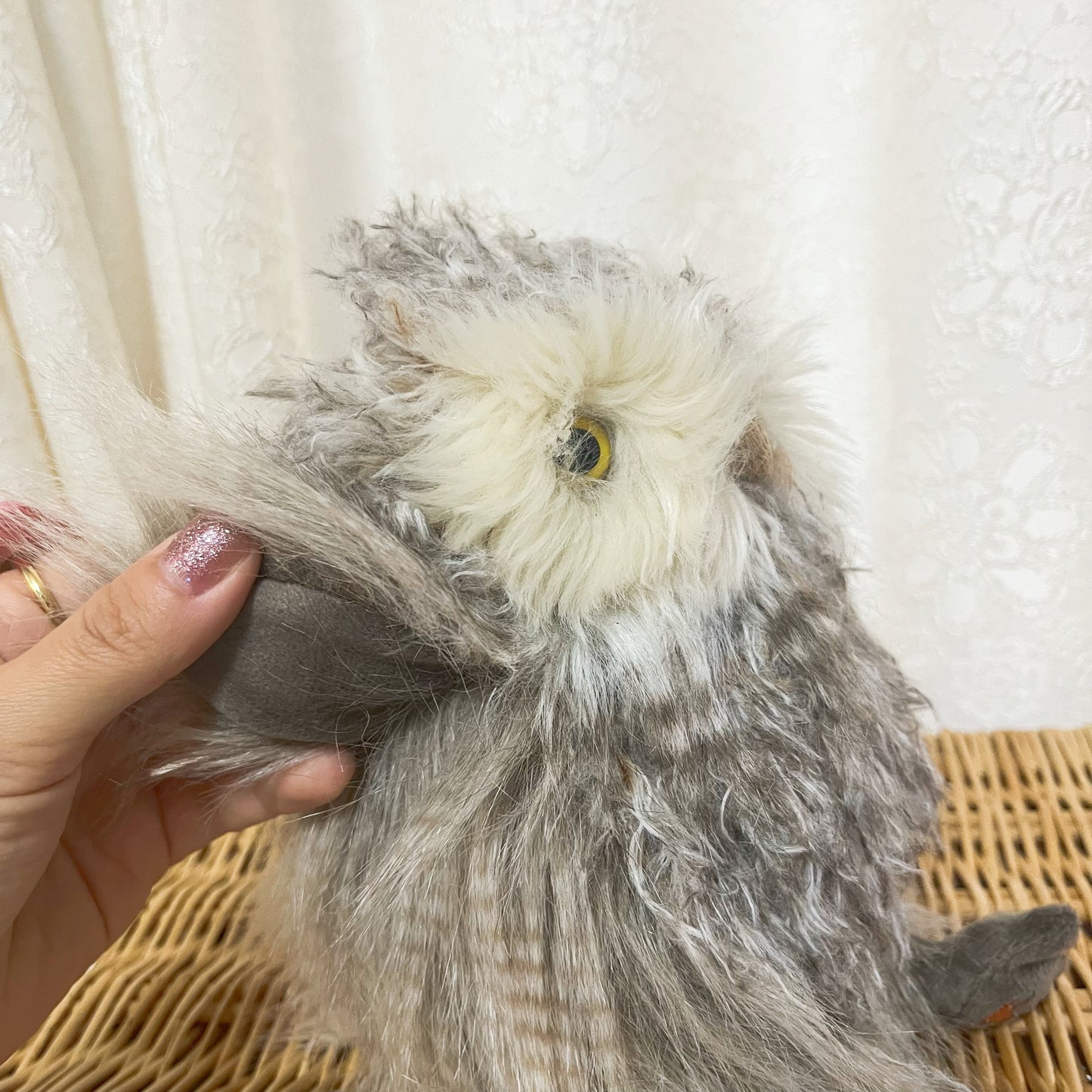 レンデールデザイン/フクロウのエルヴィス(ジュニアサイズ)