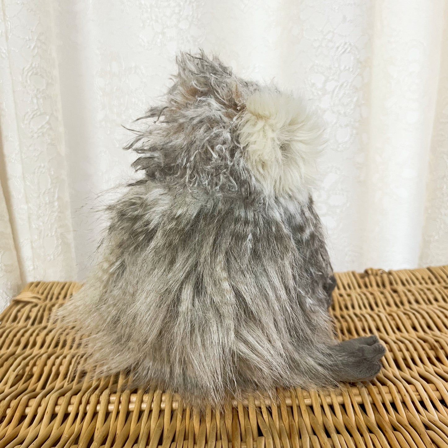 レンデールデザイン/フクロウのエルヴィス(ジュニアサイズ)