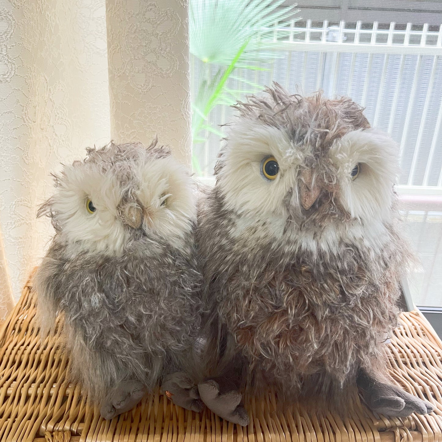 レンデールデザイン/フクロウのエルヴィス(レギュラーサイズ)