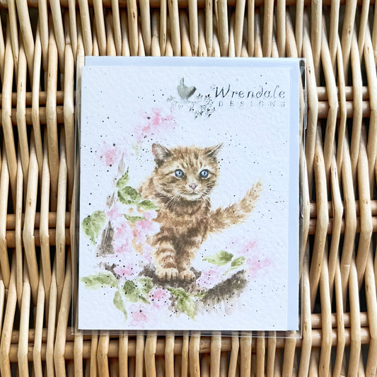 レンデールデザイン/カード(the marmalade cat)